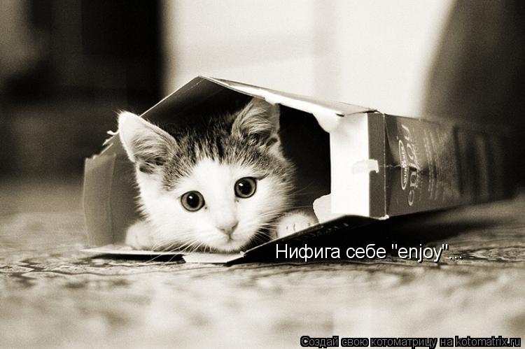 Нифига себе "enjoy"... Нифига себе "enjoy"...... Котоматрица: Нифига себе "enjoy"... Нифига себе "enjoy"...
