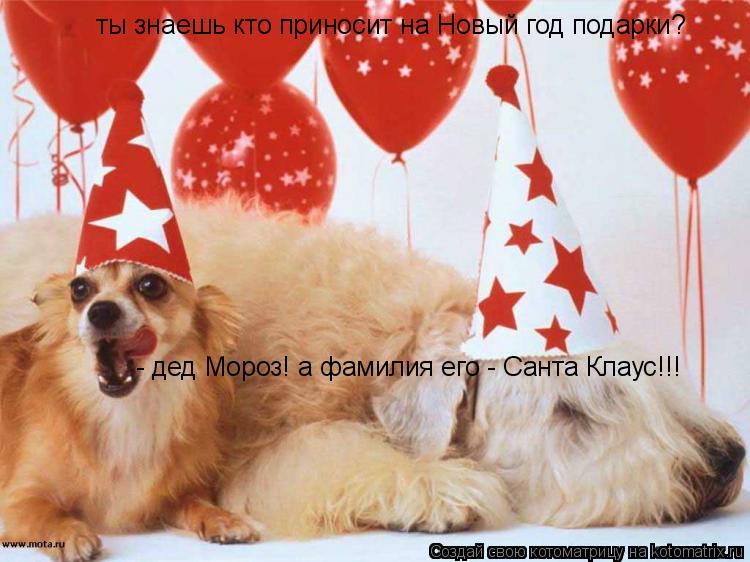 ты знаешь кто приносит на Новый год подарки? - дед Мороз! а фамилия его - Санта Клаус!!!... Котоматрица: ты знаешь кто приносит на Новый год подарки? - дед Мороз! а фамилия его - Санта Клаус!!!