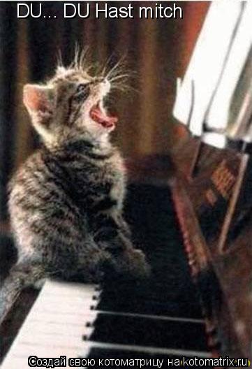 DU... DU Hast mitch... Котоматрица: DU... DU Hast mitch