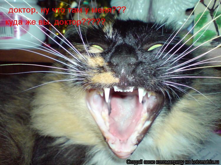 доктор, ну что там у меня??? куда же вы, доктор?????... Котоматрица: доктор, ну что там у меня??? куда же вы, доктор?????