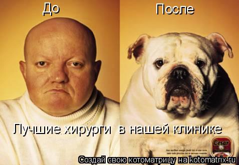 До После Лучшие хирурги в нашей клинике... Котоматрица: До После Лучшие хирурги в нашей клинике