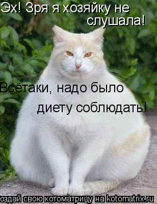 Эх! Зря я хозяйку не слушала! Всётаки, надо было диету соблюдать!... Котоматрица: Эх! Зря я хозяйку не слушала! Всётаки, надо было диету соблюдать!