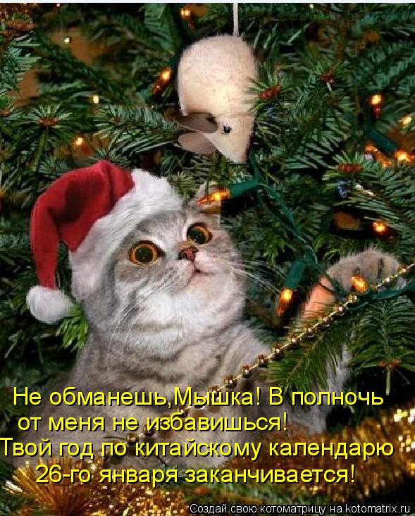 Не обманешь,Мышка! В полночь от меня не избавишься! Твой год по китайскому календарю 26-го января зак... Котоматрица: Не обманешь,Мышка! В полночь от меня не избавишься! Твой год по китайскому календарю 26-го января заканчивается!