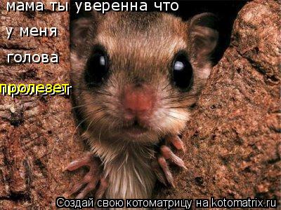 мама ты уверенна что у меня голова пролезет пролезет... Котоматрица: мама ты уверенна что у меня голова пролезет пролезет