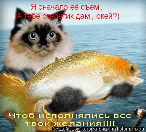 Я сначало её съем , А тебе скелетик дам , окей?)... Котоматрица: Я сначало её съем , А тебе скелетик дам , окей?)