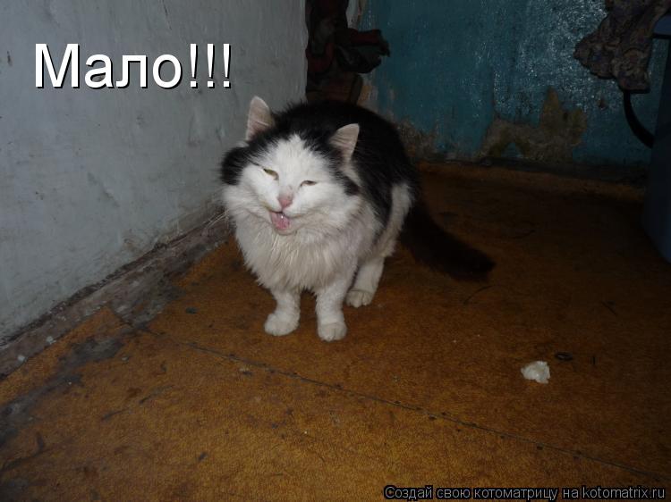 Мало!!!... Котоматрица: Мало!!!