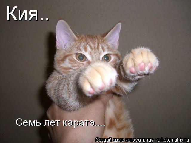 Кия.. Семь лет каратэ....... Котоматрица: Кия.. Семь лет каратэ....