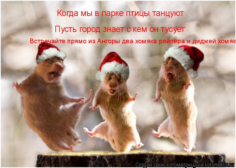 Когда мы в парке птицы танцуют Пусть город знает с кем он тусует Встречайте прямо из Ангоры два хомяк... Котоматрица: Когда мы в парке птицы танцуют Пусть город знает с кем он тусует Встречайте прямо из Ангоры два хомяка рейпера и диджей хомяк