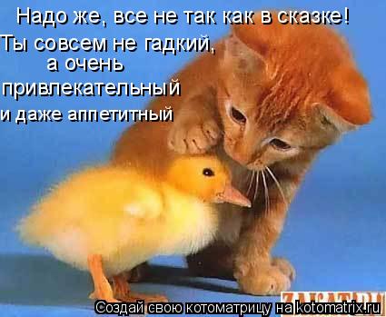 а очень привлекательный Надо же, все не так как в сказке! Ты совсем не гадкий, и даже аппетитный... Котоматрица: а очень привлекательный Надо же, все не так как в сказке! Ты совсем не гадкий, и даже аппетитный