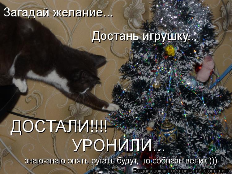 Загадай желание... Достань игрушку... ДОСТАЛИ!!!! УРОНИЛИ... знаю-знаю опять ругать будут, но соблазн... Котоматрица: Загадай желание... Достань игрушку... ДОСТАЛИ!!!! УРОНИЛИ... знаю-знаю опять ругать будут, но соблазн велик )))
