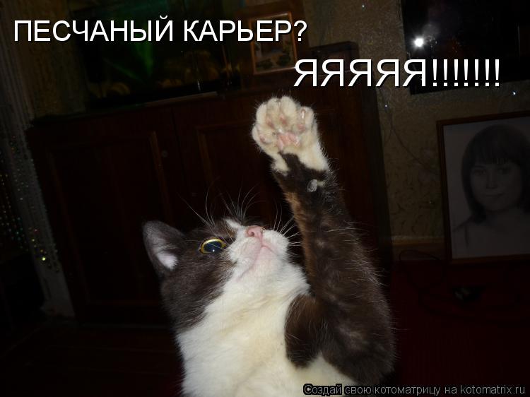 ПЕСЧАНЫЙ КАРЬЕР? ЯЯЯЯЯ!!!!!!!... Котоматрица: ПЕСЧАНЫЙ КАРЬЕР? ЯЯЯЯЯ!!!!!!!