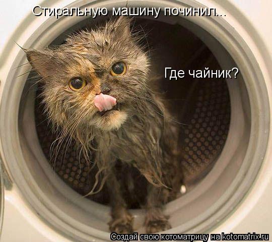 Стиральную машину починил... Где чайник?... Котоматрица: Стиральную машину починил... Где чайник?