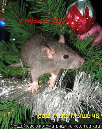 с новым годом! ваш Мыш Мышычь... Котоматрица: с новым годом! ваш Мыш Мышычь