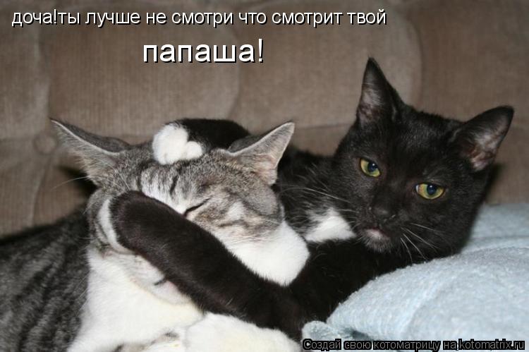 доча!ты лучше не смотри что смотрит твой папаша!... Котоматрица: доча!ты лучше не смотри что смотрит твой папаша!