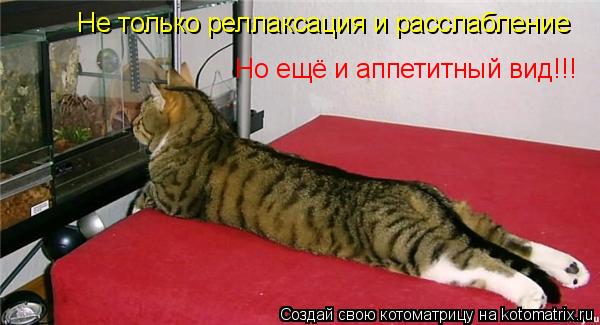Не только реллаксация и расслабление Но ещё и аппетитный вид!!!... Котоматрица: Не только реллаксация и расслабление Но ещё и аппетитный вид!!!