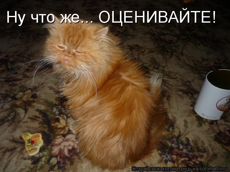 Ну что же... ОЦЕНИВАЙТЕ!... Котоматрица: Ну что же... ОЦЕНИВАЙТЕ!