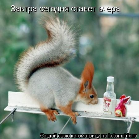 Завтра сегодня станет вчера... Котоматрица: Завтра сегодня станет вчера