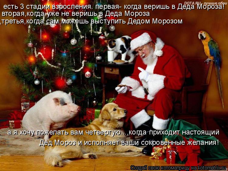 есть 3 стадии взросления. первая- когда веришь в Деда Мороза! вторая,когда уже не веришь в Деда Мороз... Котоматрица: есть 3 стадии взросления. первая- когда веришь в Деда Мороза! вторая,когда уже не веришь в Деда Мороза ,третья,когда сам можешь выступить Дед