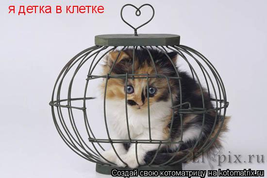 я детка в клетке... Котоматрица: я детка в клетке