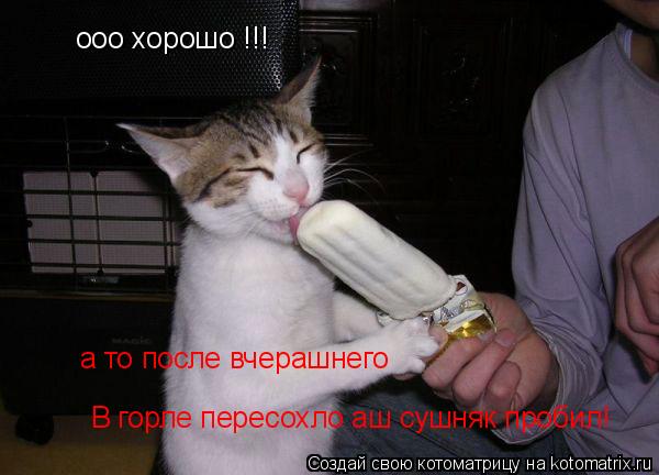 Котоматрица: ооо хорошо !!! а то после вчерашнего В горле пересохло аш сушняк пробил!