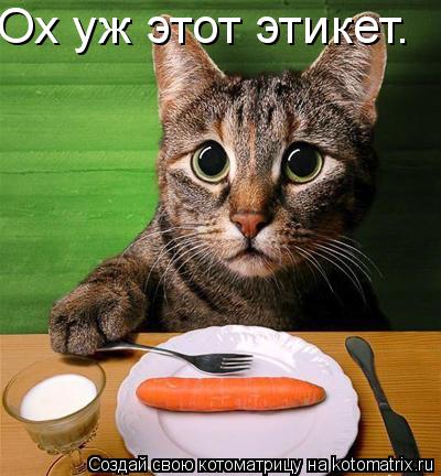 Ох уж этот этикет.... Котоматрица: Ох уж этот этикет.