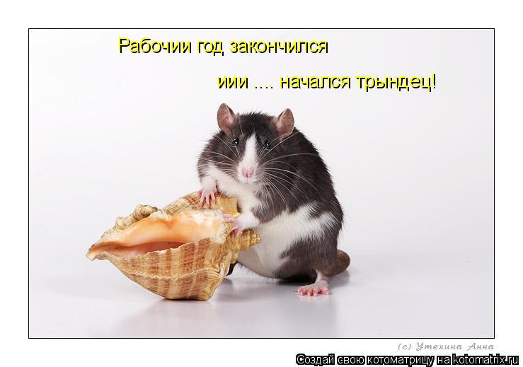 Рабочии год закончился иии .... начался трындец!... Котоматрица: Рабочии год закончился иии .... начался трындец!