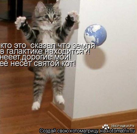 кто это сказал что земля в галактике находится?! нееет,дорогие мои! её несёт святой кот!... Котоматрица: кто это сказал что земля в галактике находится?! нееет,дорогие мои! её несёт святой кот!