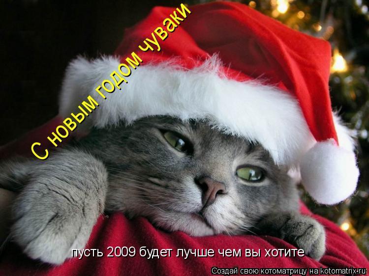 пусть 2009 будет лучше чем вы хотите... Котоматрица: пусть 2009 будет лучше чем вы хотите