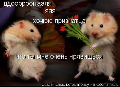 ддооррооггааяя яяя хочюю признатца что ты мне очень нрявищься... Котоматрица: ддооррооггааяя яяя хочюю признатца что ты мне очень нрявищься