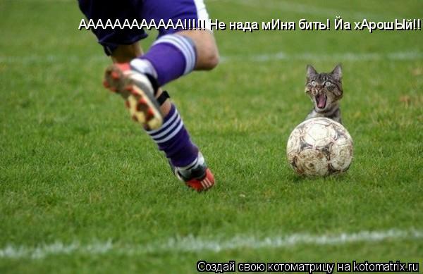 АААААААААААА!!!!! Не нада мИня бить! Йа хАрошЫй!!!... Котоматрица: АААААААААААА!!!!! Не нада мИня бить! Йа хАрошЫй!!!