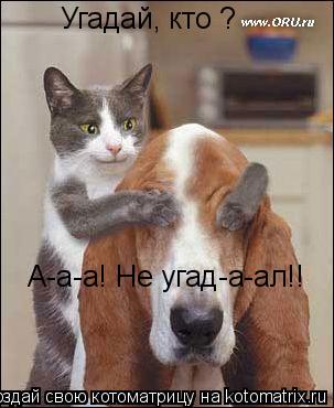 Угадай, кто ? А-а-а! Не угад-а-ал!!... Котоматрица: Угадай, кто ? А-а-а! Не угад-а-ал!!
