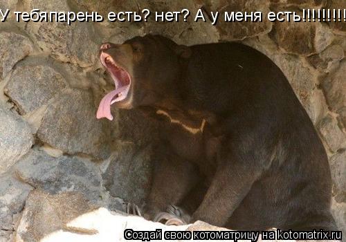 У тебяпарень есть? нет? А у меня есть!!!!!!!!!!!!!... Котоматрица: У тебяпарень есть? нет? А у меня есть!!!!!!!!!!!!!