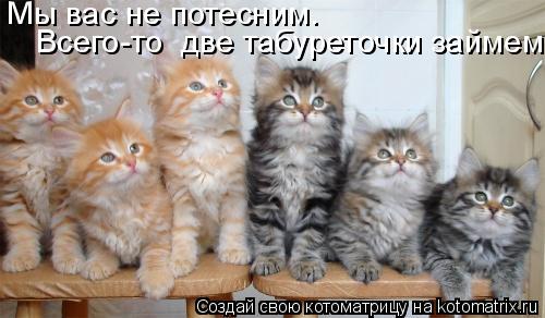 Мы вас не потесним. Всего-то две табуреточки займем... Котоматрица: Мы вас не потесним. Всего-то две табуреточки займем