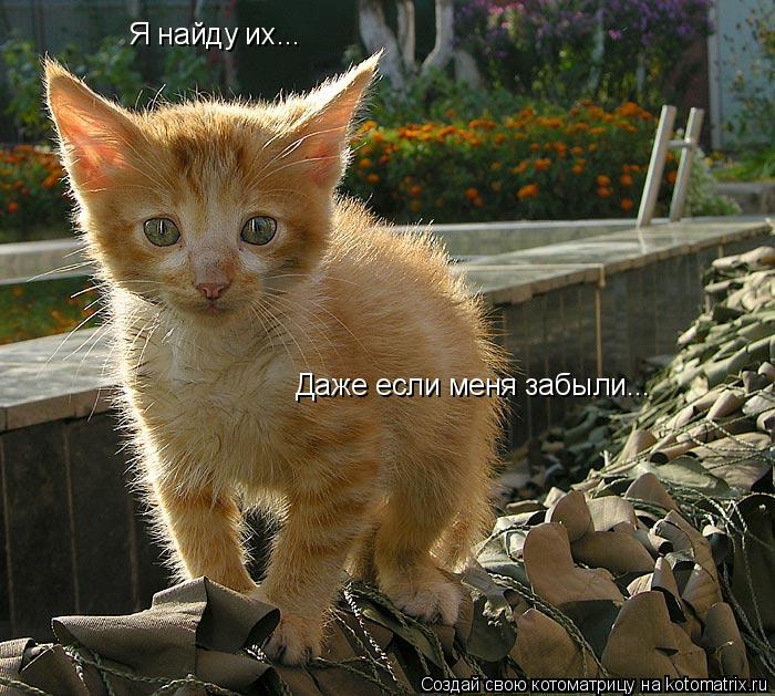 Я найду их... Даже если меня забыли...... Котоматрица: Я найду их... Даже если меня забыли...