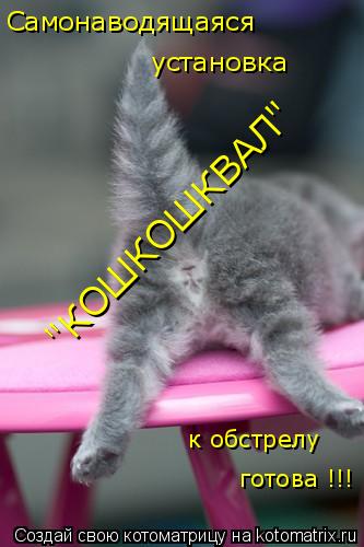 к обстрелу "КОШКОШКВАЛ" установка готова !!! Самонаводящаяся... Котоматрица: к обстрелу "КОШКОШКВАЛ" установка готова !!! Самонаводящаяся