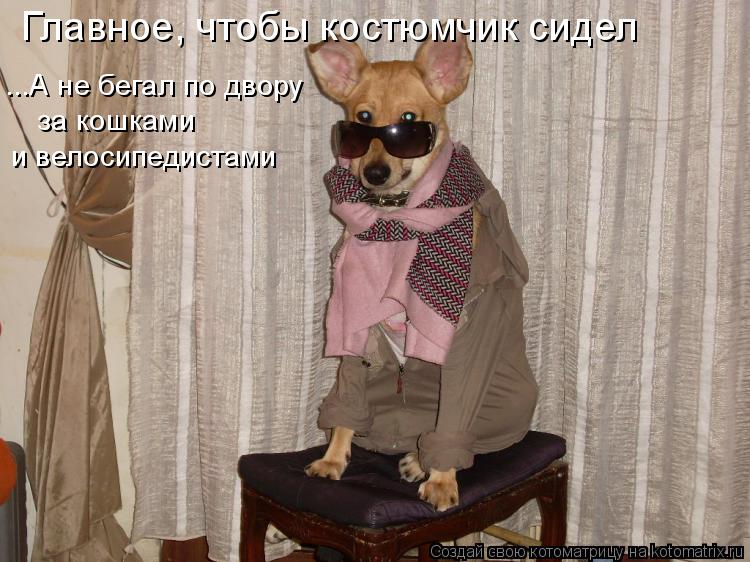 Главное, чтобы костюмчик сидел ...А не бегал по двору за кошками и велосипедистами... Котоматрица: Главное, чтобы костюмчик сидел ...А не бегал по двору за кошками и велосипедистами