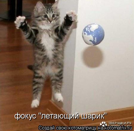 фокус "летающий шарик"... Котоматрица: фокус "летающий шарик"