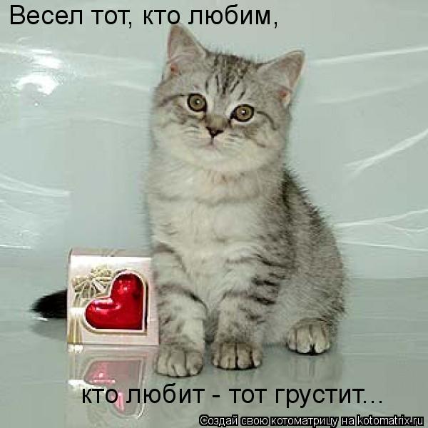 Весел тот, кто любим, кто любит - тот грустит...... Котоматрица: Весел тот, кто любим, кто любит - тот грустит...
