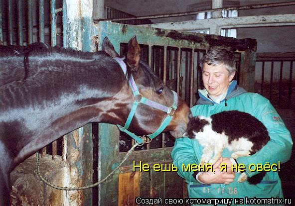 Не ешь меня, я не овёс!... Котоматрица: Не ешь меня, я не овёс!