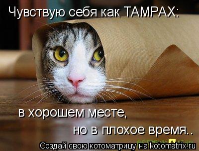 Чувствую себя как TAMPAX: в хорошем месте, но в плохое время..... Котоматрица: Чувствую себя как TAMPAX: в хорошем месте, но в плохое время..