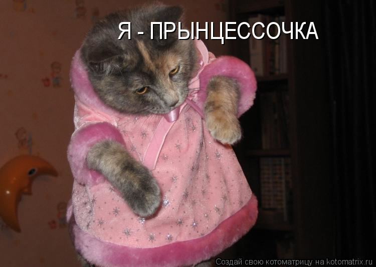 Я - ПРЫНЦЕССОЧКА... Котоматрица: Я - ПРЫНЦЕССОЧКА