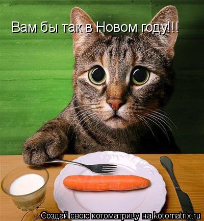Вам бы так в Новом году!!!... Котоматрица: Вам бы так в Новом году!!!