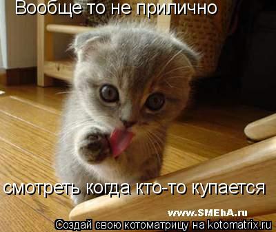 Вообще то не прилично смотреть когда кто-то купается... Котоматрица: Вообще то не прилично смотреть когда кто-то купается