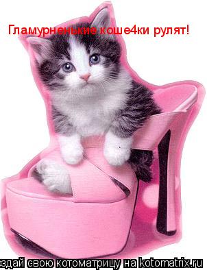 Гламурненькие коше4ки рулят!... Котоматрица: Гламурненькие коше4ки рулят!