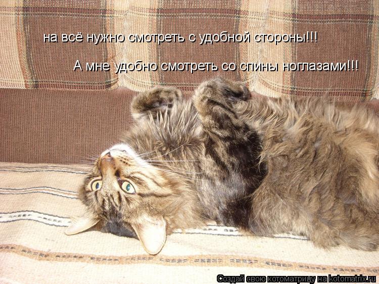 на всё нужно смотреть с удобной стороны!!! А мне удобно смотреть со спины ноглазами!!!... Котоматрица: на всё нужно смотреть с удобной стороны!!! А мне удобно смотреть со спины ноглазами!!!