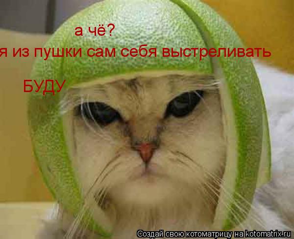 а чё? я из пушки сам себя выстреливать БУДУ... Котоматрица: а чё? я из пушки сам себя выстреливать БУДУ