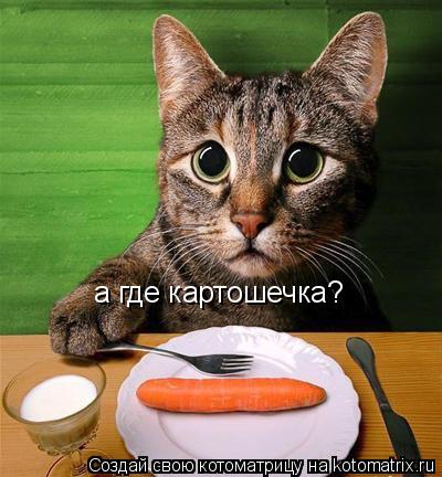 а где картошечка?... Котоматрица: а где картошечка?