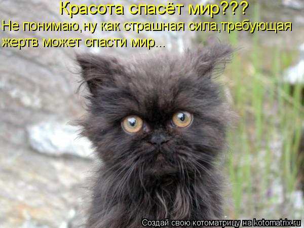 Красота спасёт мир??? Не понимаю,ну как страшная сила,требующая жертв может спасти мир...... Котоматрица: Красота спасёт мир??? Не понимаю,ну как страшная сила,требующая жертв может спасти мир...