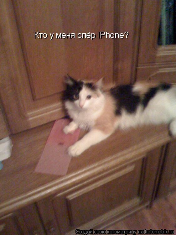 Кто у меня спёр IPhone?... Котоматрица: Кто у меня спёр IPhone?