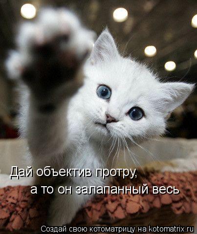Дай объектив протру, а то он залапанный весь... Котоматрица: Дай объектив протру, а то он залапанный весь
